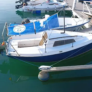 https://lanza-boat.puertodelcarmen-hotels.org